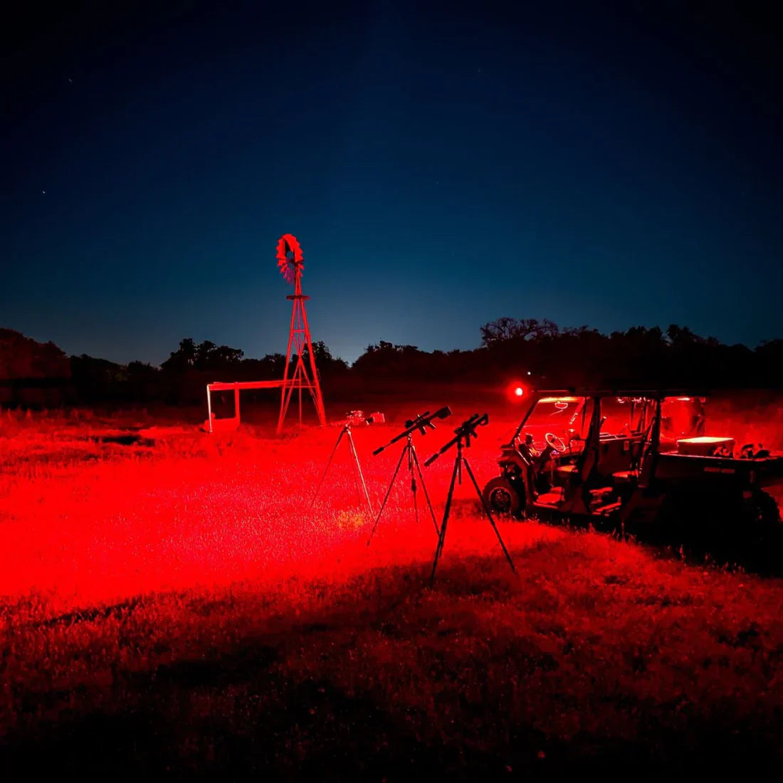 Best Torch for Hunting in New Zealand: What to Look For